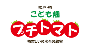 こども畑 プチトマト 柏市しいの木台の教室