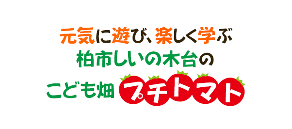 元気に遊び、楽しく学ぶ柏市しいの木台のこども畑プチトマト